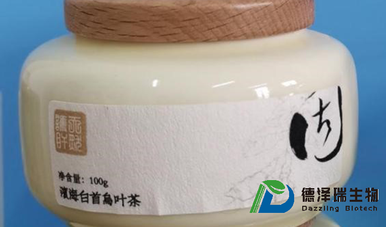 滨海白首乌叶茶