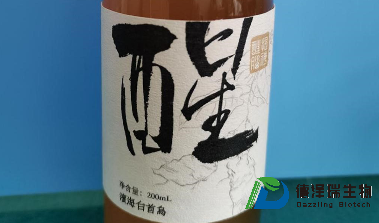 滨海白首乌饮料
